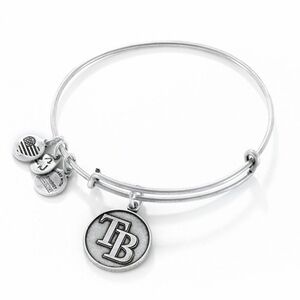 NWT Alex and Ani Tampa Bay Rays Logo Charm Bangle in Silver-Tone Brass